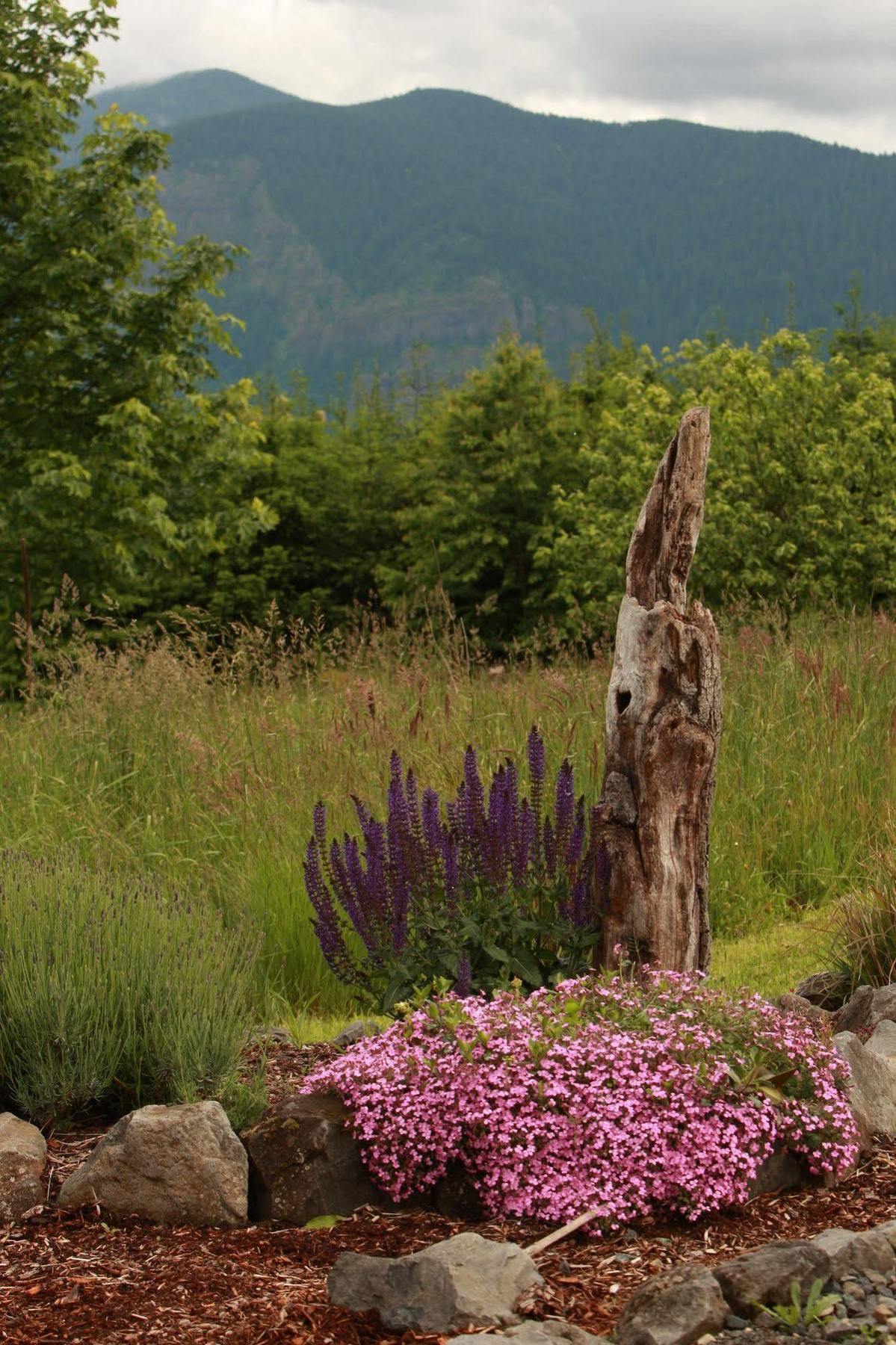 Carson Ridge Luxury Cabins Esterno foto