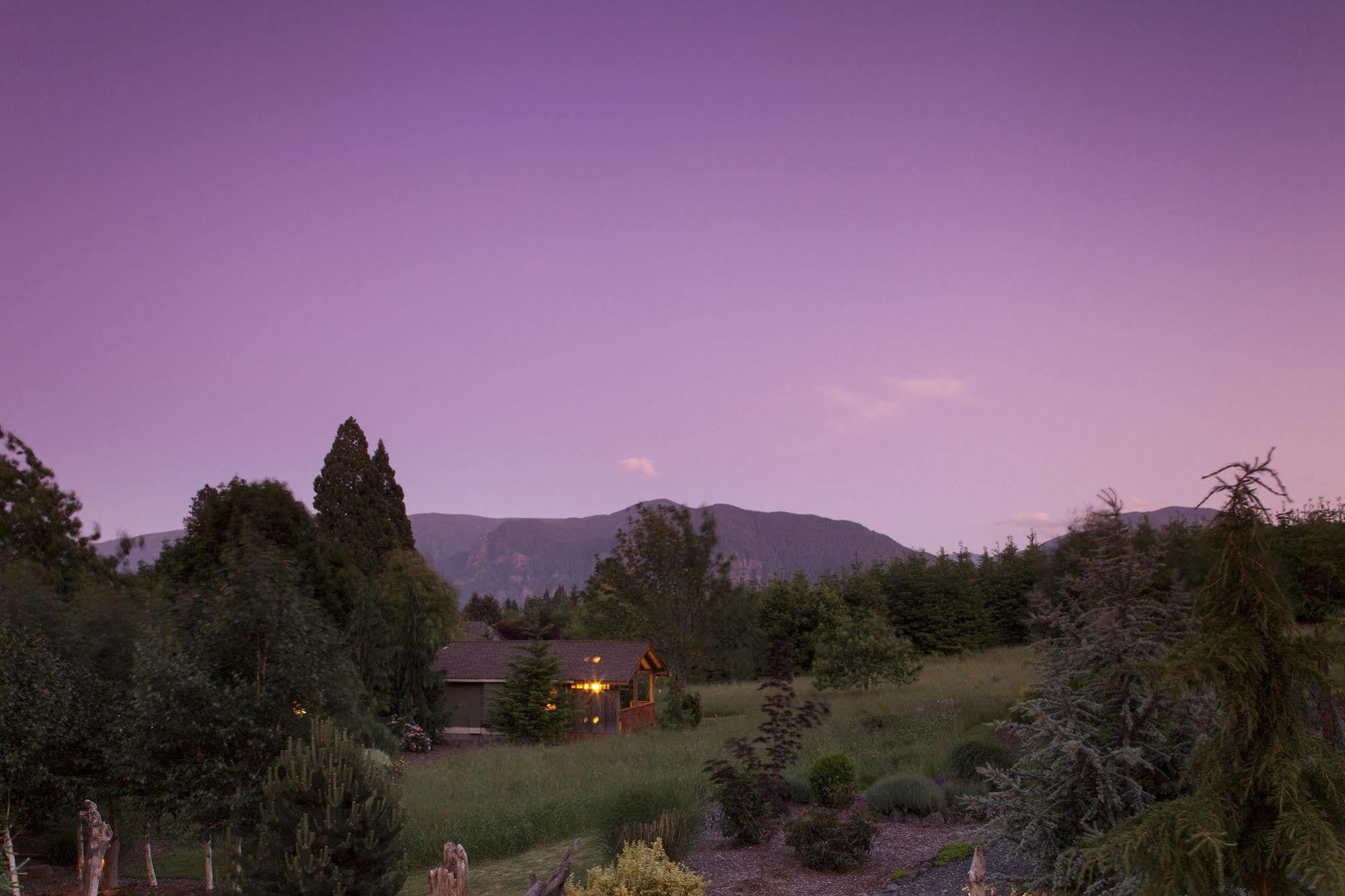 Carson Ridge Luxury Cabins Esterno foto